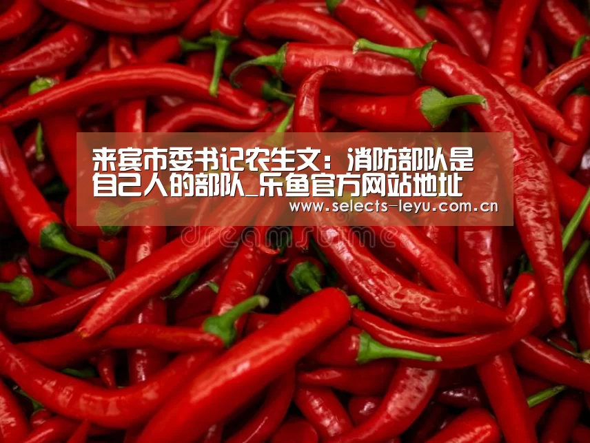 乐鱼平台最新版本