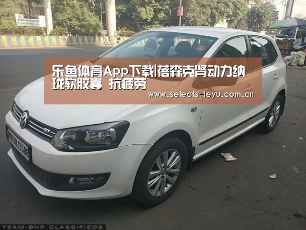 乐鱼平台最新版本