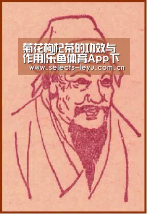 菊花枸杞茶的功效与作用|乐鱼体育App下载(图2) 乐鱼极致竞技体验