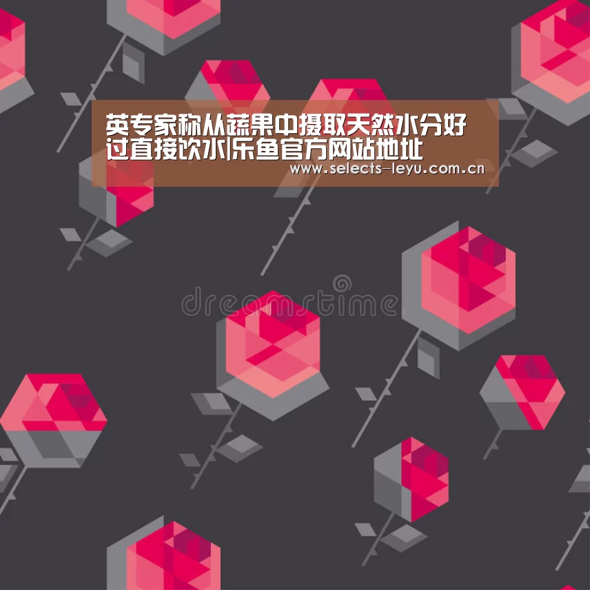 乐鱼官方网站地址