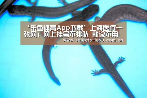乐鱼体育App下载