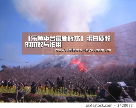 乐鱼官方网站地址