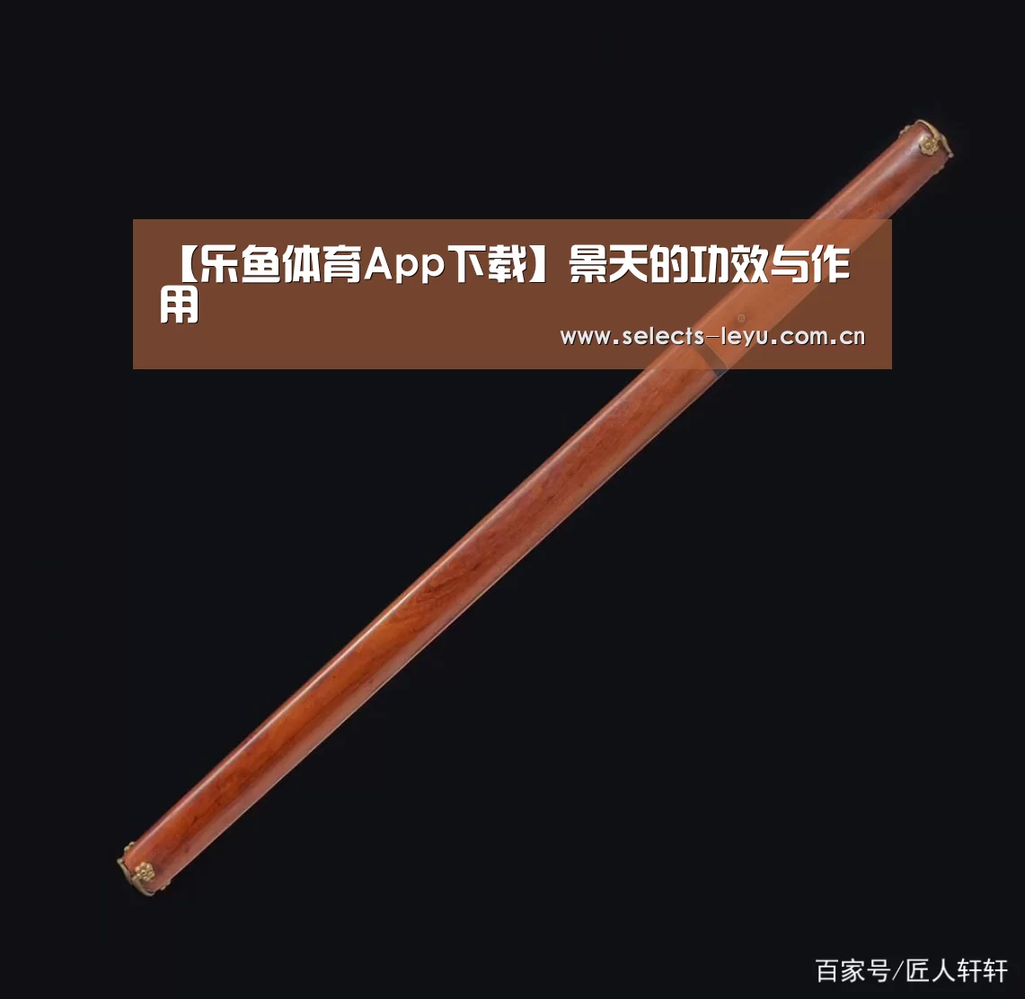 乐鱼极致竞技体验