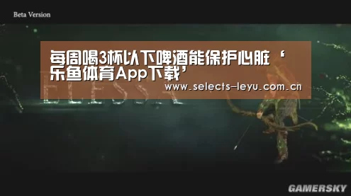 乐鱼平台最新版本