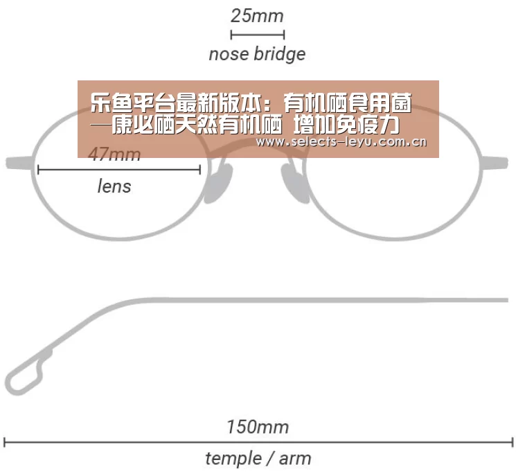 乐鱼官方网站地址